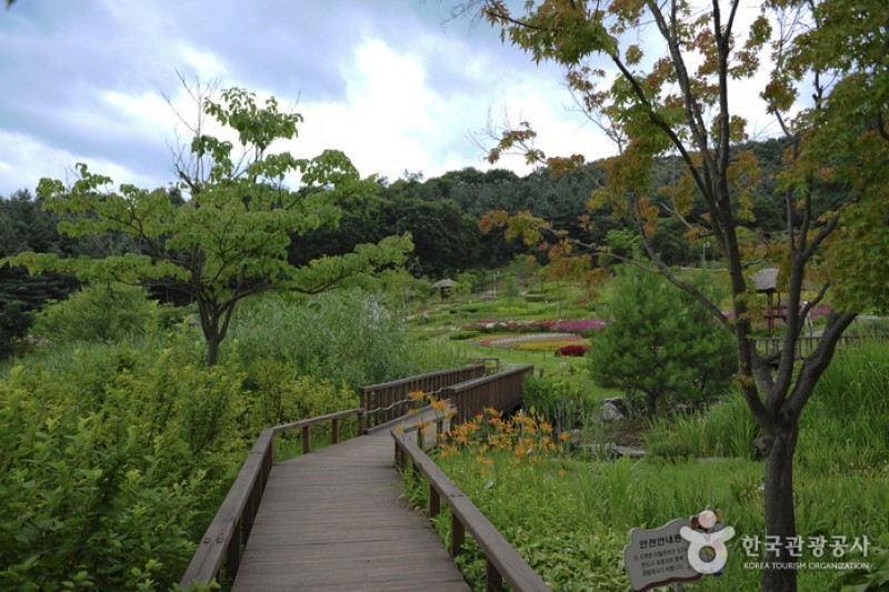 Yongin Agricultural Theme Park  (7/13)