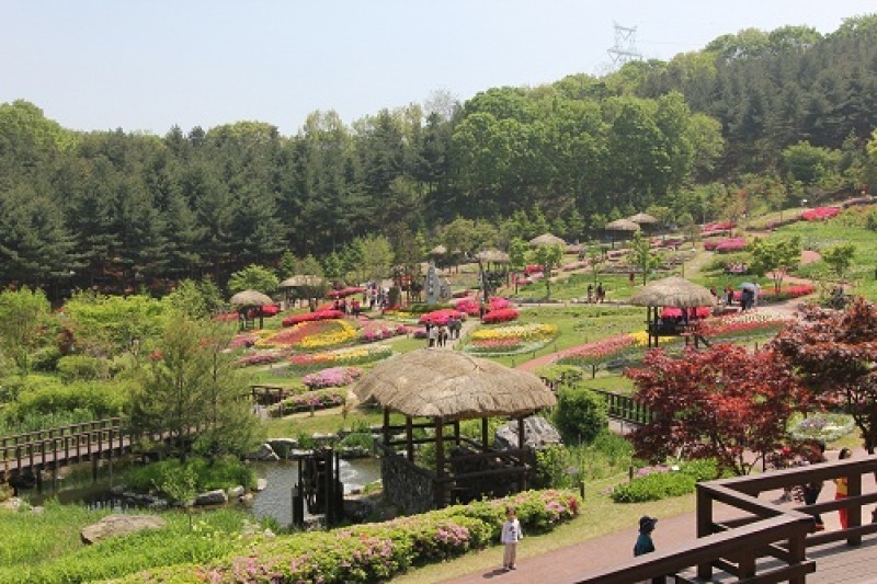 Yongin Agricultural Theme Park  (8/13)