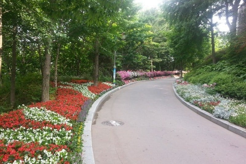 Yongin Agricultural Theme Park  (9/13)