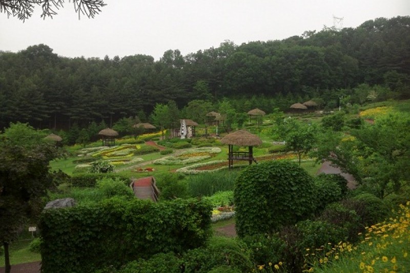 Yongin Agricultural Theme Park  (10/13)