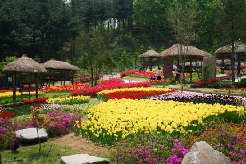 Yongin Agricultural Theme Park  (11/13)