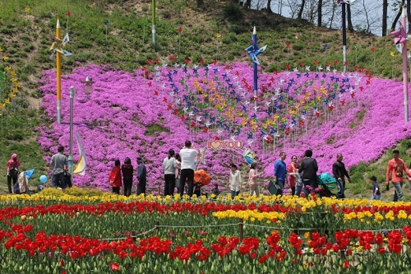 Yongin Agricultural Theme Park  (13/13)