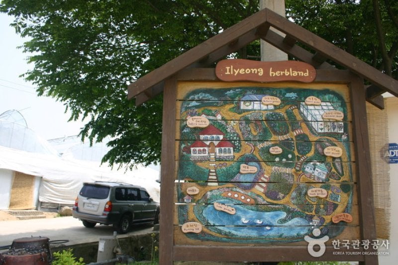 Ilyeong Herbland  (1/13)