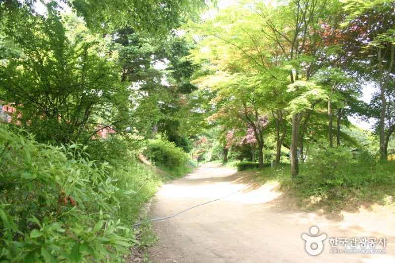 Ilyeong Herbland  (2/13)