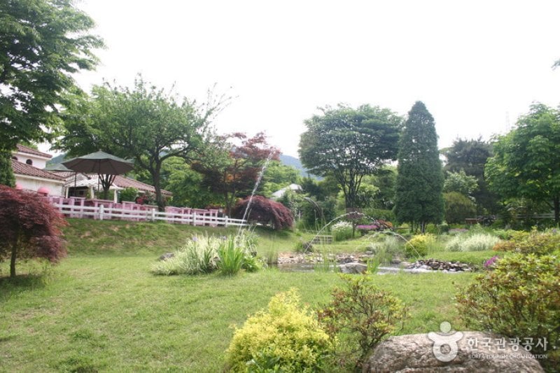 Ilyeong Herbland  (6/13)