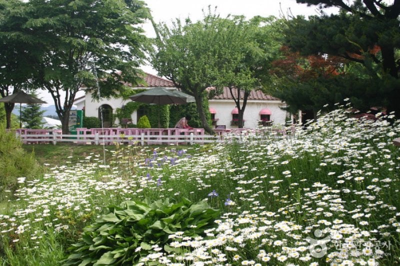 Ilyeong Herbland  (7/13)