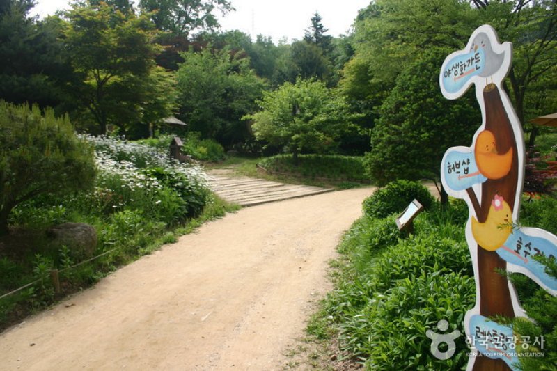 Ilyeong Herbland  (8/13)