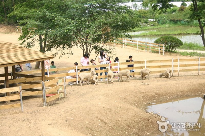 Ilyeong Herbland  (9/13)