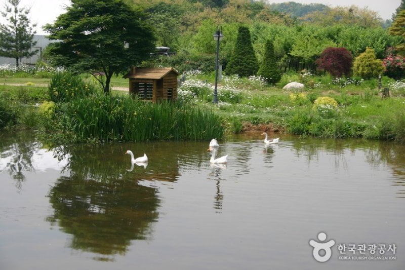 Ilyeong Herbland  (11/13)