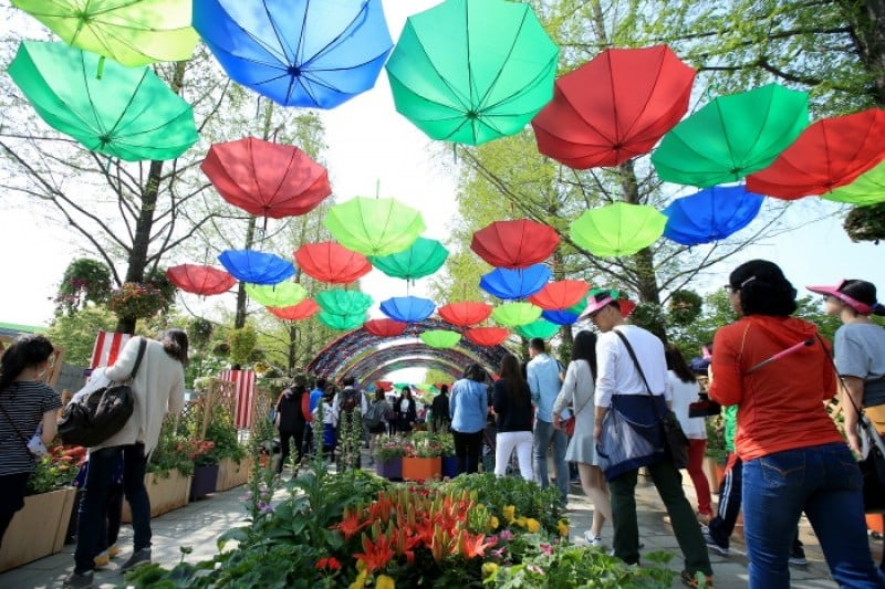 International Horticulture Goyang Korea  (1/18)