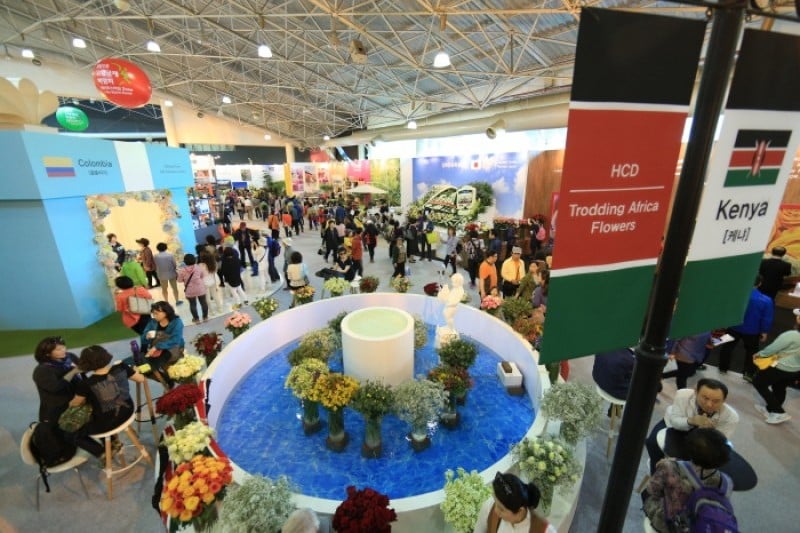 International Horticulture Goyang Korea  (2/18)