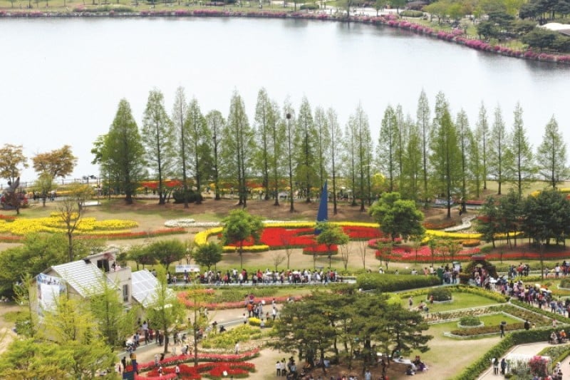 International Horticulture Goyang Korea  (3/18)
