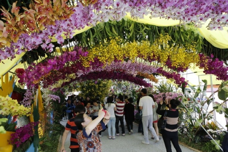 International Horticulture Goyang Korea  (4/18)
