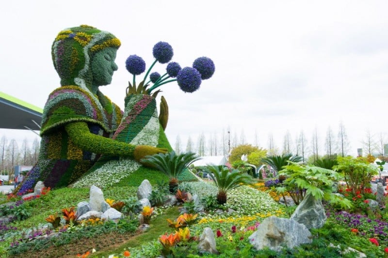 International Horticulture Goyang Korea  (8/18)