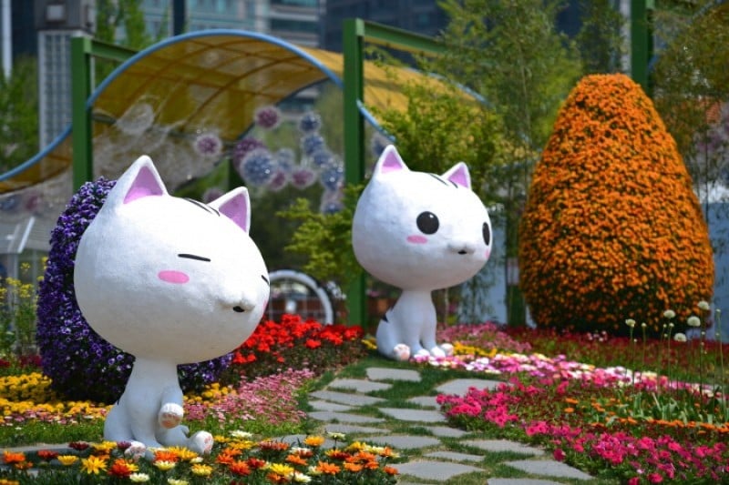 International Horticulture Goyang Korea  (13/18)