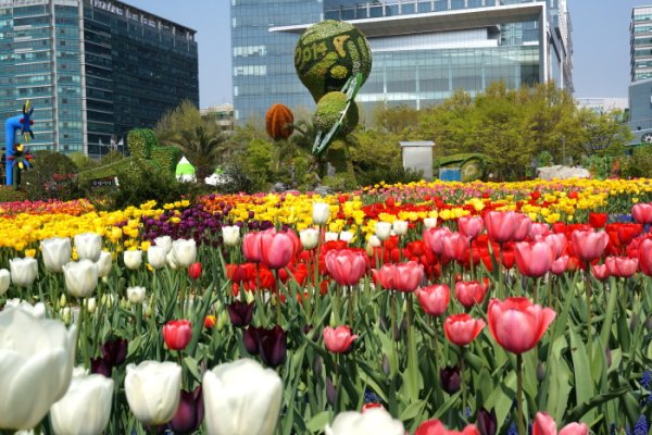 International Horticulture Goyang Korea