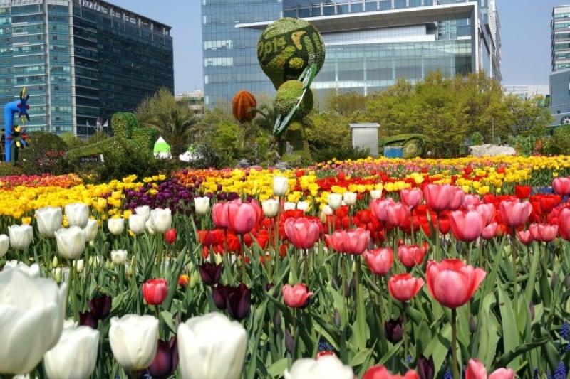 International Horticulture Goyang Korea  (17/18)