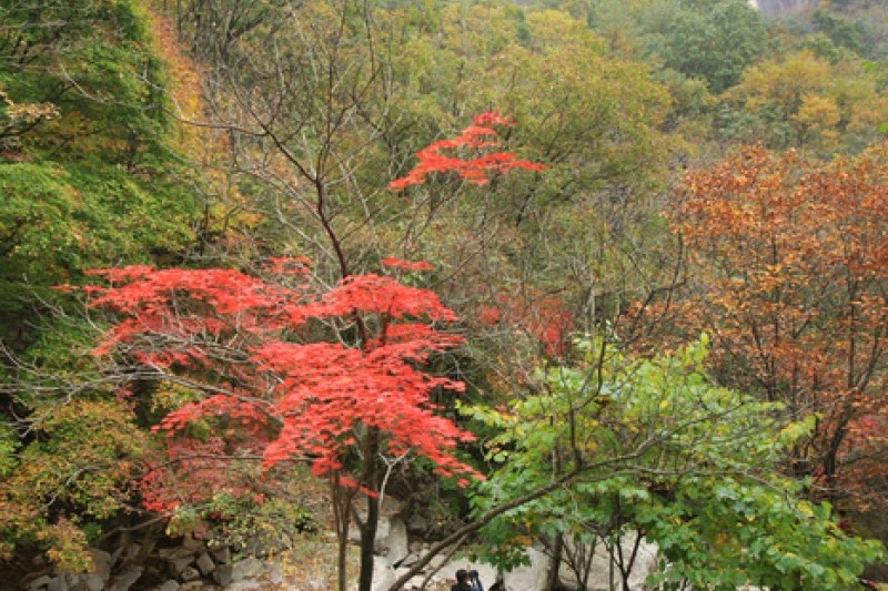 Myeongseongsan Mountain  (1/18)