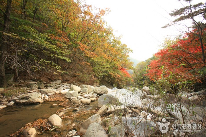 Myeongseongsan Mountain  (3/18)