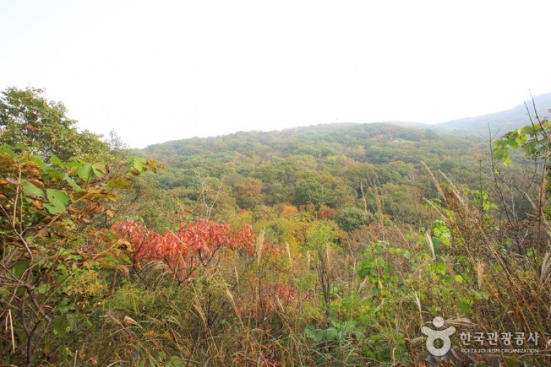 Myeongseongsan Mountain  (4/18)