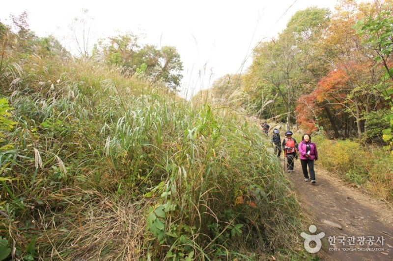 Myeongseongsan Mountain  (5/18)