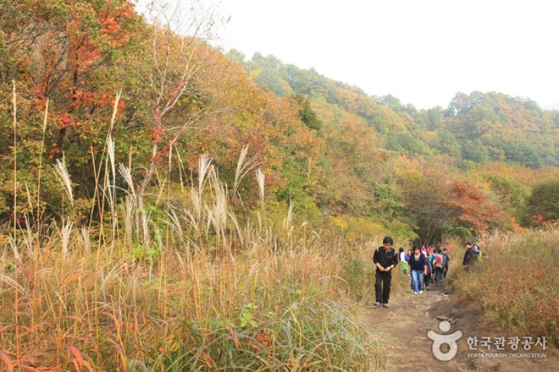 Myeongseongsan Mountain  (6/18)