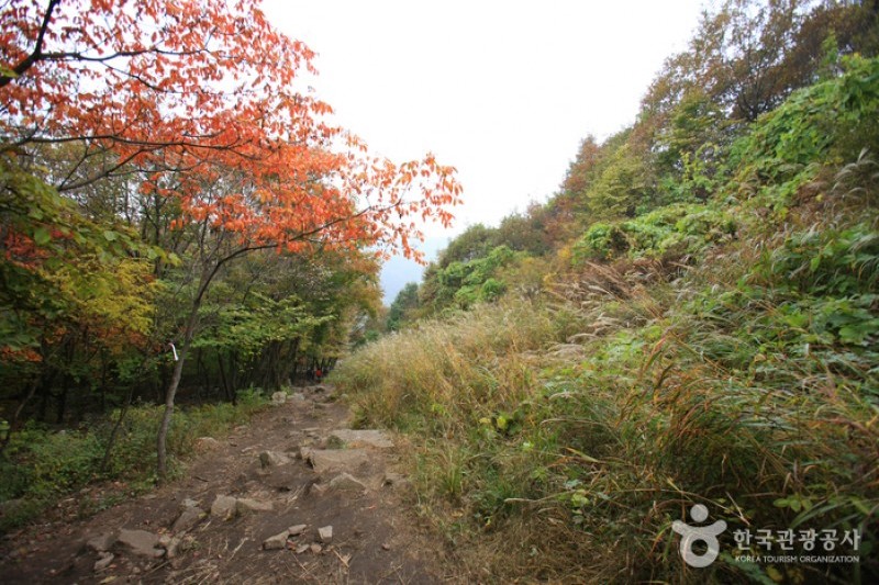 Myeongseongsan Mountain  (7/18)