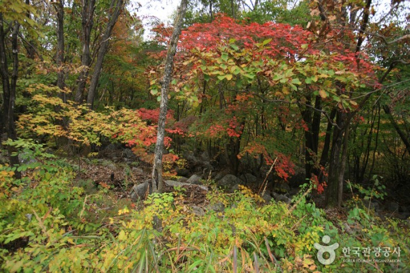 Myeongseongsan Mountain  (8/18)