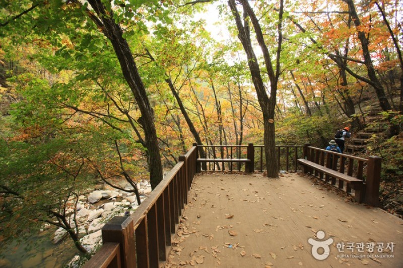 Myeongseongsan Mountain  (11/18)