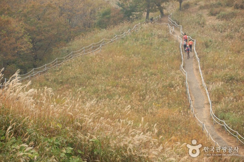 Myeongseongsan Mountain  (14/18)