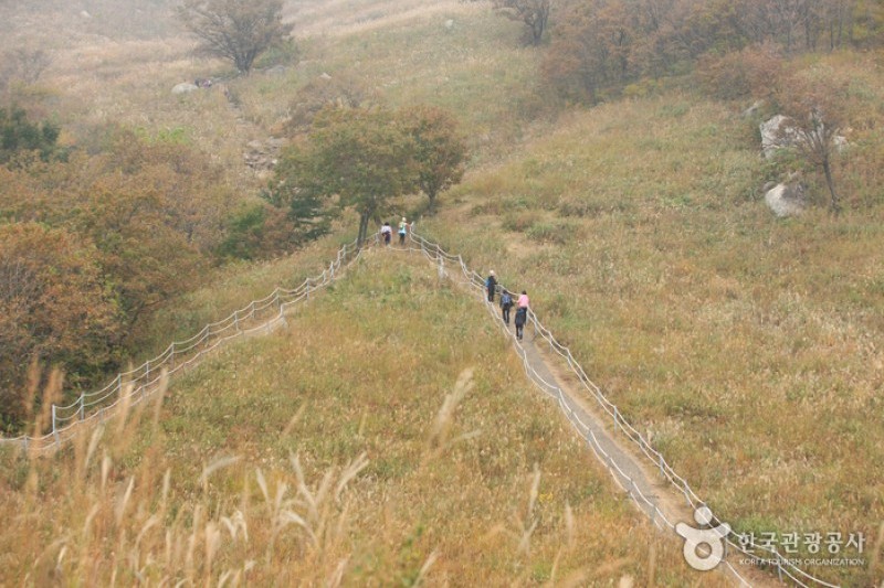 Myeongseongsan Mountain  (15/18)