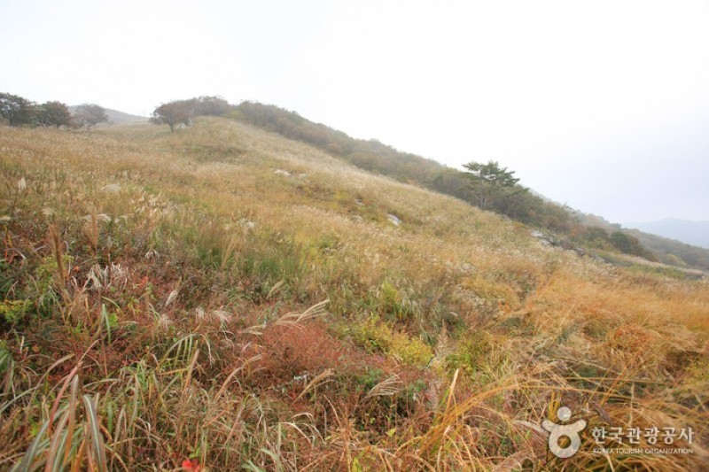 Myeongseongsan Mountain  (18/18)
