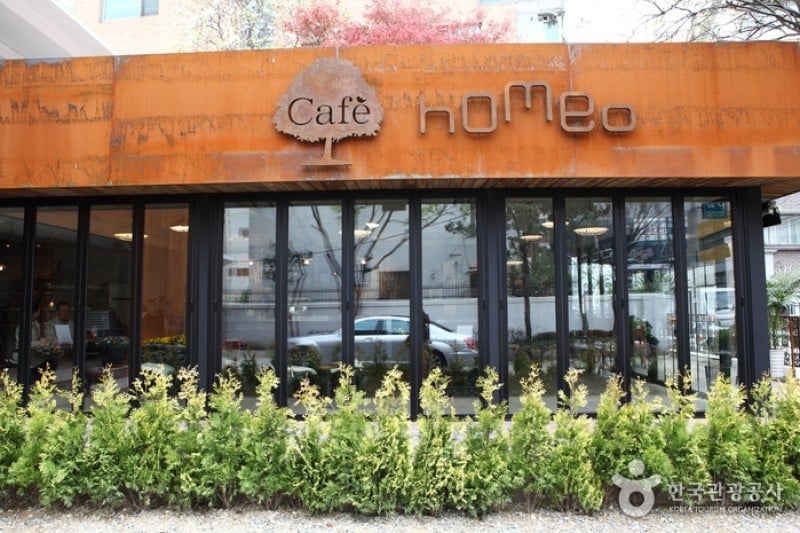 Homeo  (9/9)