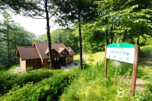 Jungmisan Recreational Forest (중미산자연휴양림)