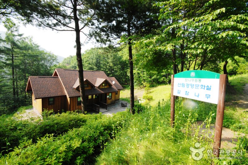 Jungmisan Recreational Forest (중미산자연휴양림) (1/26)
