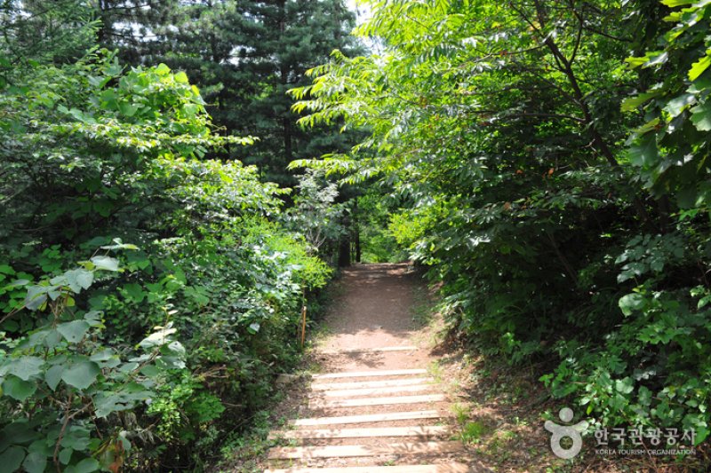 Jungmisan Recreational Forest (중미산자연휴양림) (2/26)