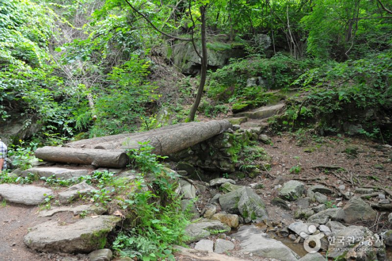 Jungmisan Recreational Forest (중미산자연휴양림) (4/26)