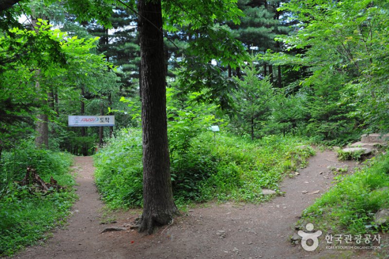 Jungmisan Recreational Forest (중미산자연휴양림) (5/26)