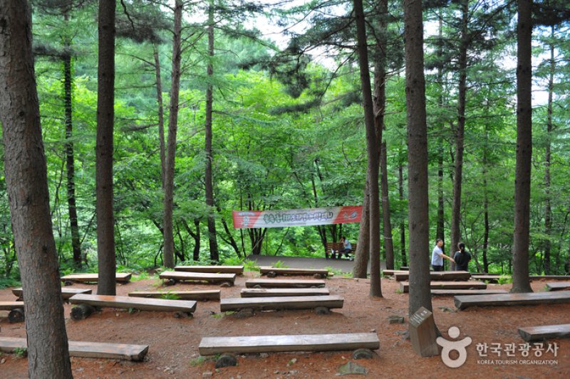 Jungmisan Recreational Forest (중미산자연휴양림) (6/26)
