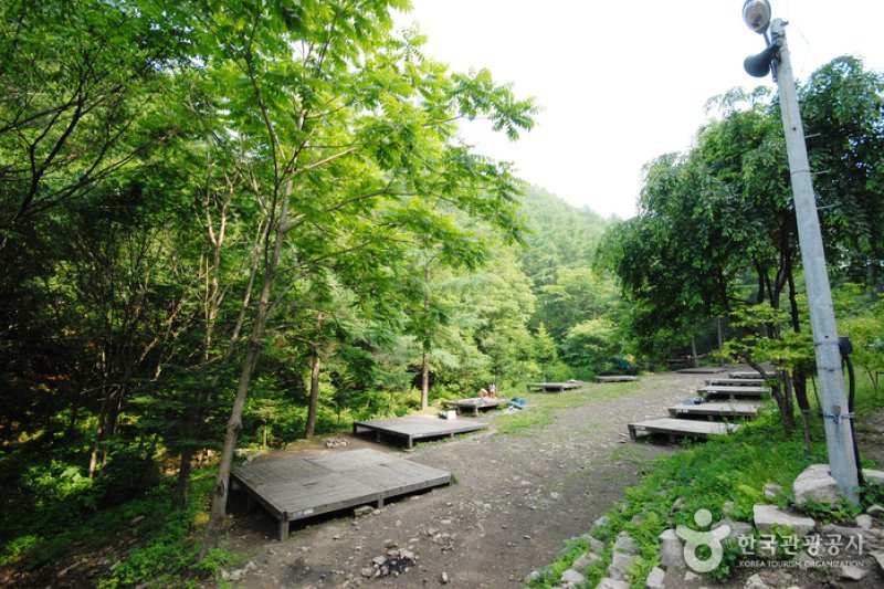 Jungmisan Recreational Forest (중미산자연휴양림) (8/26)