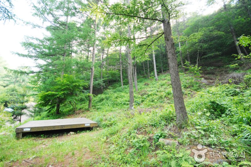 Jungmisan Recreational Forest (중미산자연휴양림) (9/26)