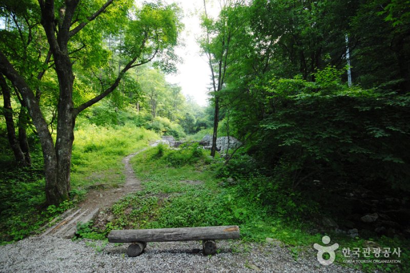 Jungmisan Recreational Forest (중미산자연휴양림) (11/26)