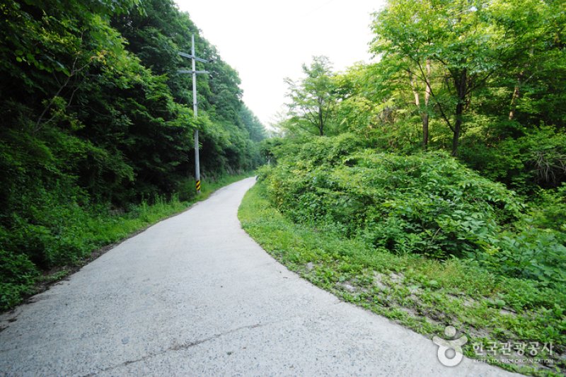 Jungmisan Recreational Forest (중미산자연휴양림) (13/26)