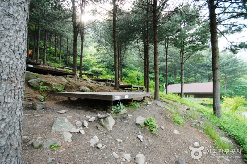 Jungmisan Recreational Forest (중미산자연휴양림) (14/26)