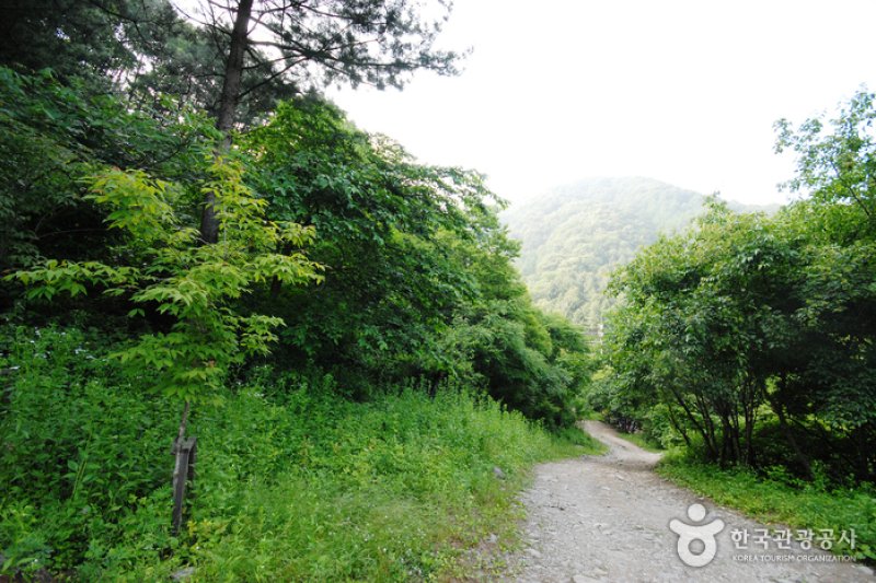 Jungmisan Recreational Forest (중미산자연휴양림) (15/26)