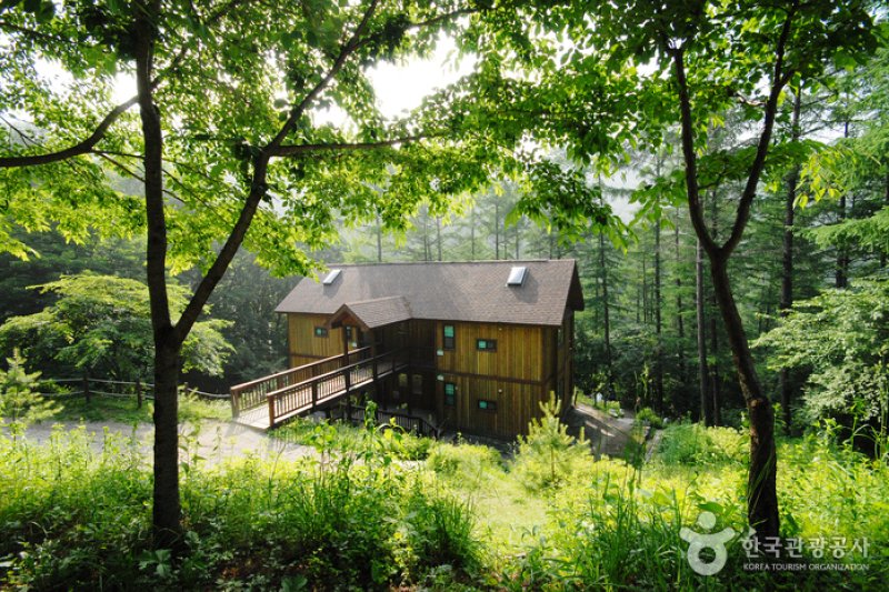 Jungmisan Recreational Forest (중미산자연휴양림) (21/26)