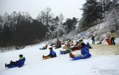 Hanwha Resort - Yangpyeong Sledding Park 