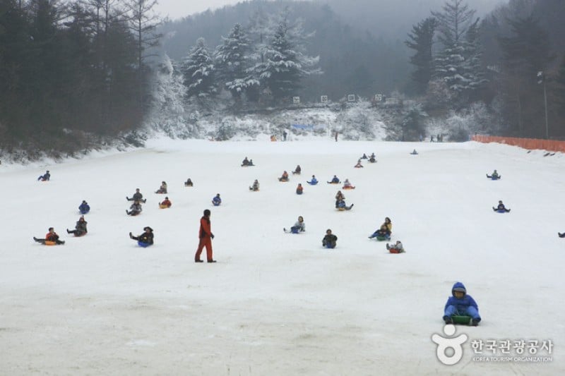Hanwha Resort - Yangpyeong Sledding Park  (1/11)