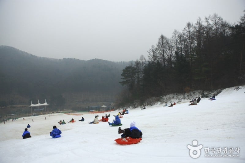 Hanwha Resort - Yangpyeong Sledding Park  (2/11)