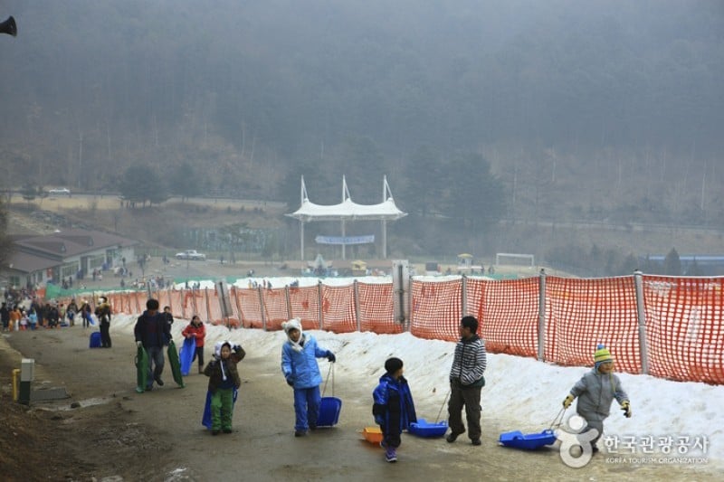 Hanwha Resort - Yangpyeong Sledding Park  (3/11)